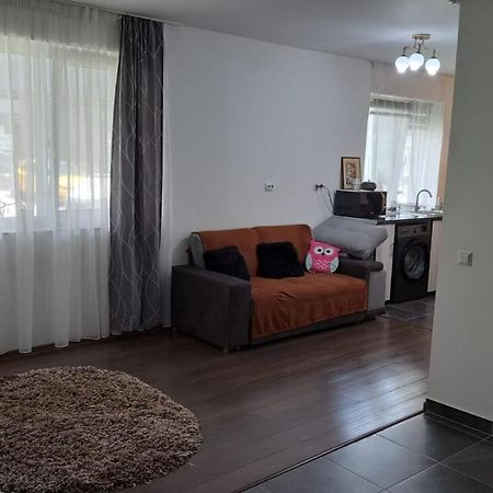 Cozy Nest Apartment Sinnicoara Bagian luar foto