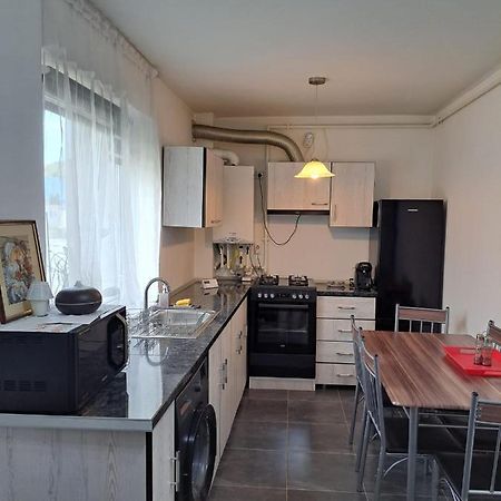 Cozy Nest Apartment Sinnicoara Bagian luar foto