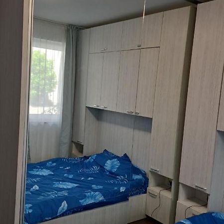 Cozy Nest Apartment Sinnicoara Bagian luar foto