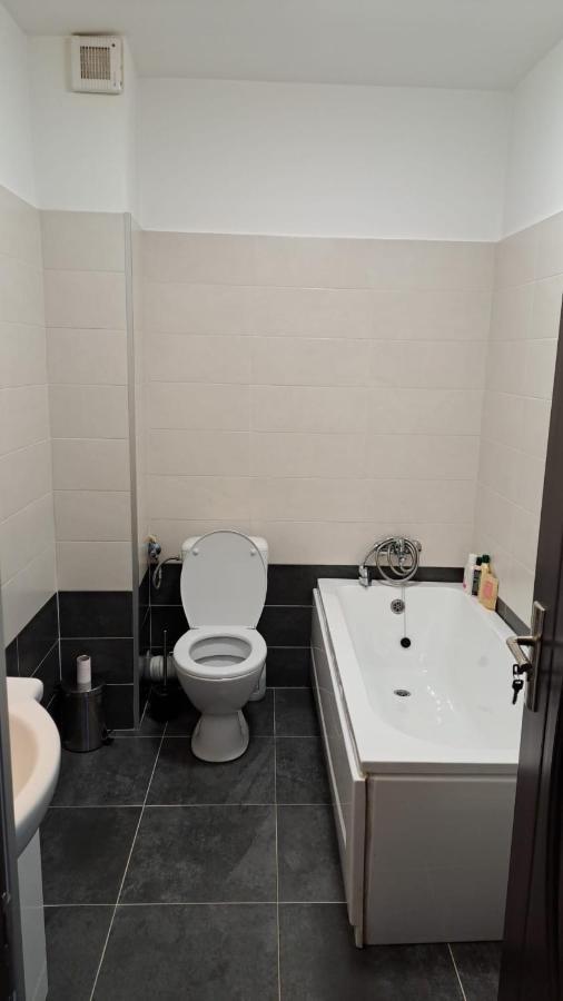 Cozy Nest Apartment Sinnicoara Bagian luar foto