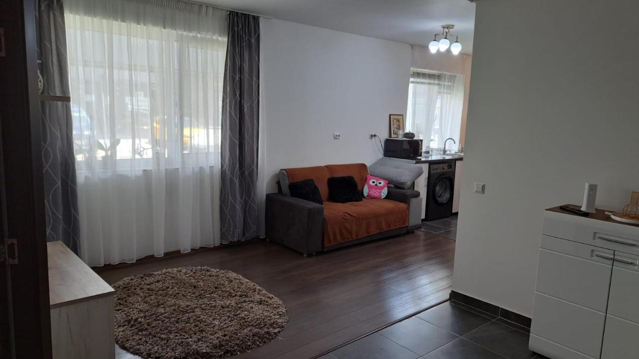 Cozy Nest Apartment Sinnicoara Bagian luar foto