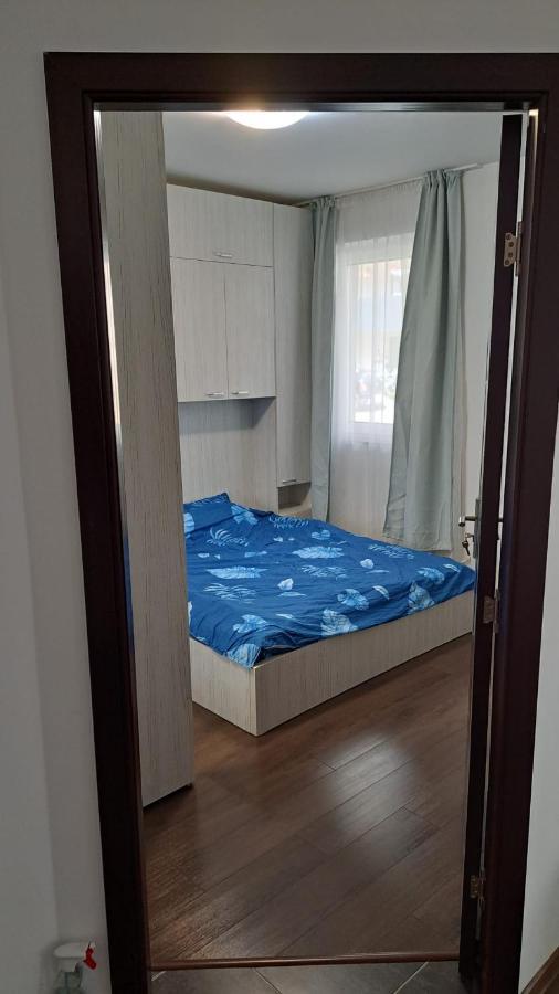 Cozy Nest Apartment Sinnicoara Bagian luar foto