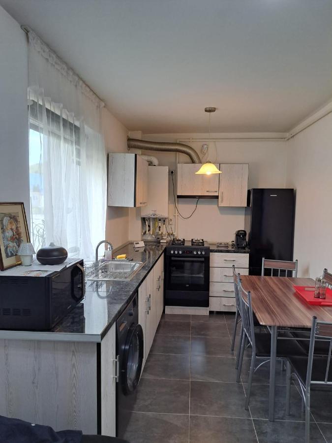 Cozy Nest Apartment Sinnicoara Bagian luar foto