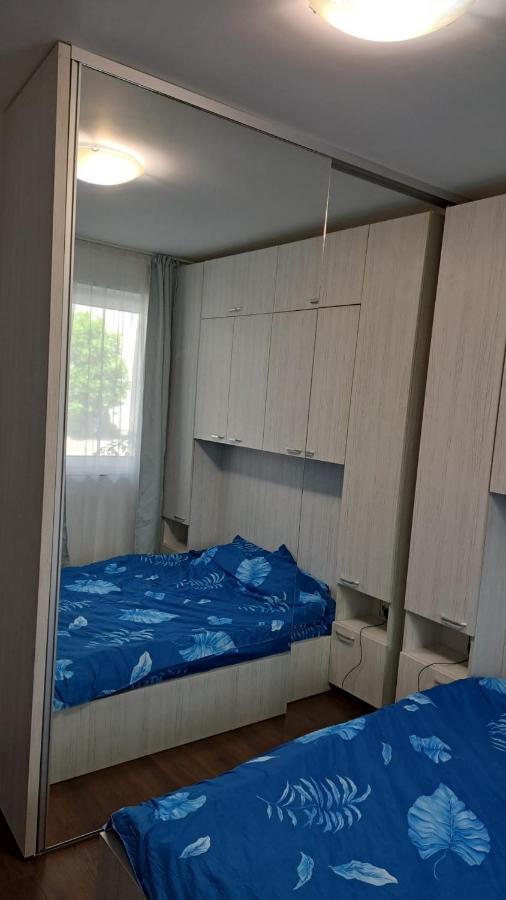 Cozy Nest Apartment Sinnicoara Bagian luar foto